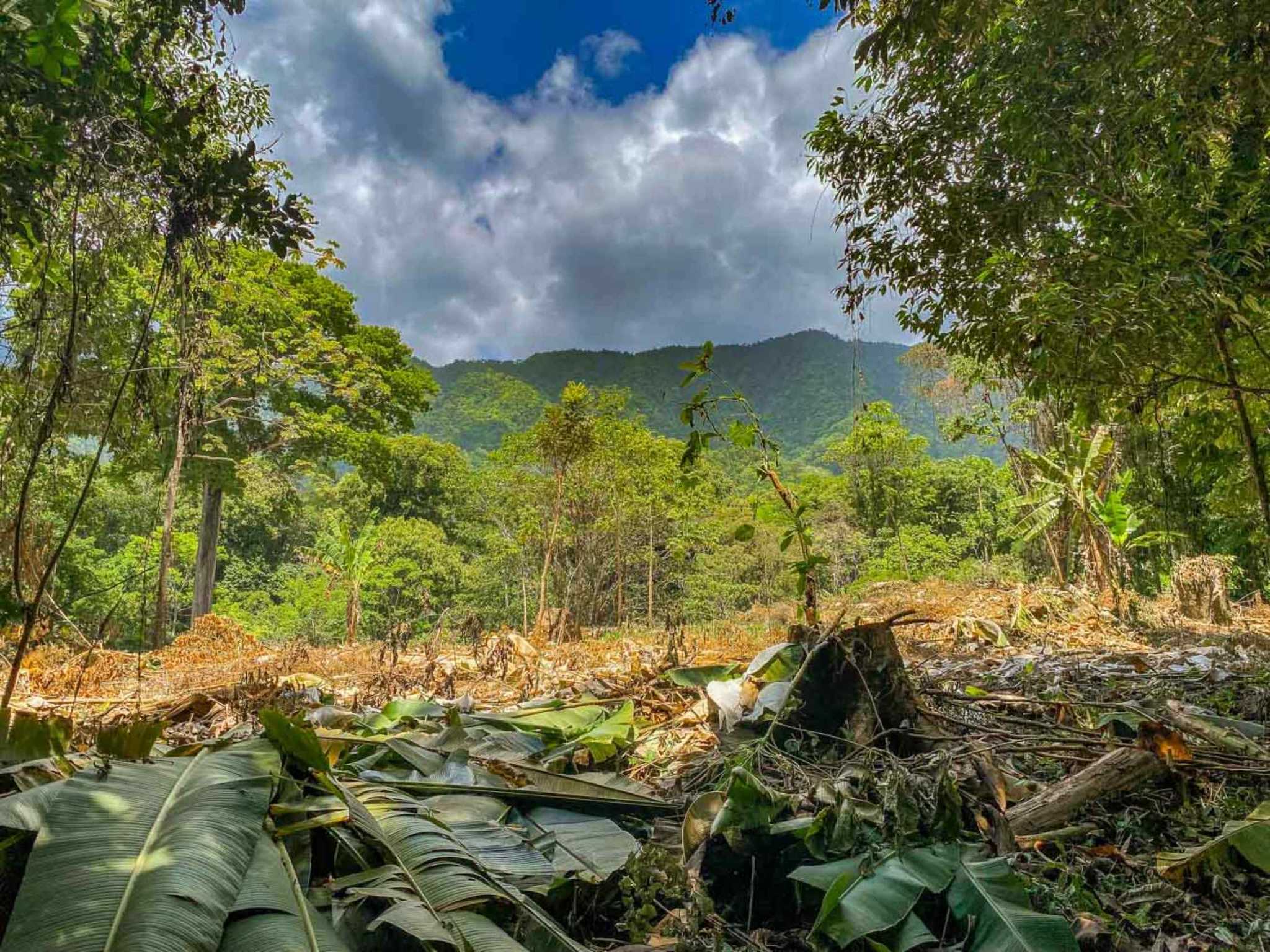 Jungle River 2.46-Acre Building Lot with Legal Water in Ojochal Costa Rica