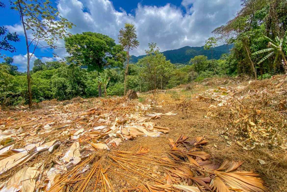 Jungle River 2.46-Acre Building Lot with Legal Water in Ojochal Costa Rica photo 27