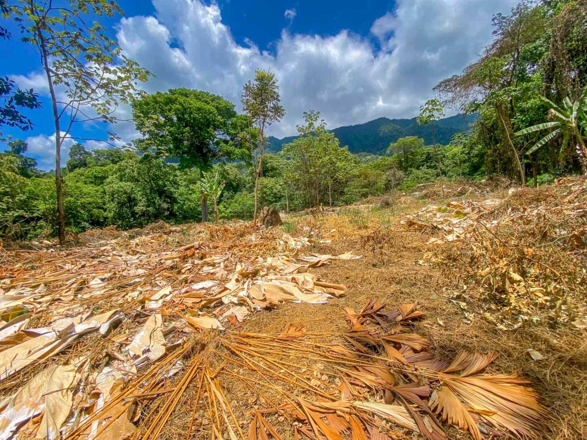 Jungle River 2.46-Acre Building Lot with Legal Water in Ojochal Costa Rica