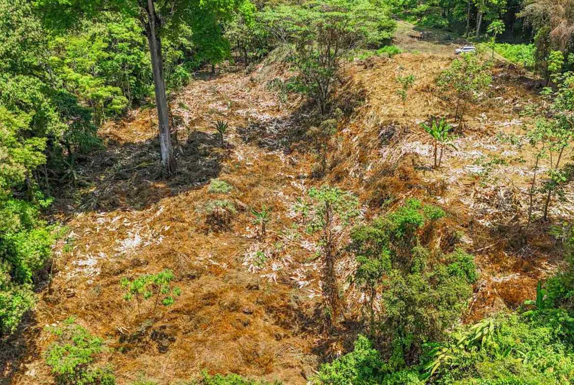 Jungle River 2.46-Acre Building Lot with Legal Water in Ojochal Costa Rica photo 25