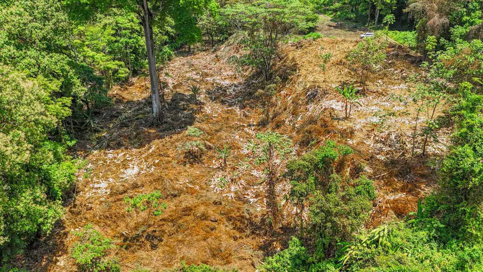 Jungle River 2.46-Acre Building Lot with Legal Water in Ojochal Costa Rica