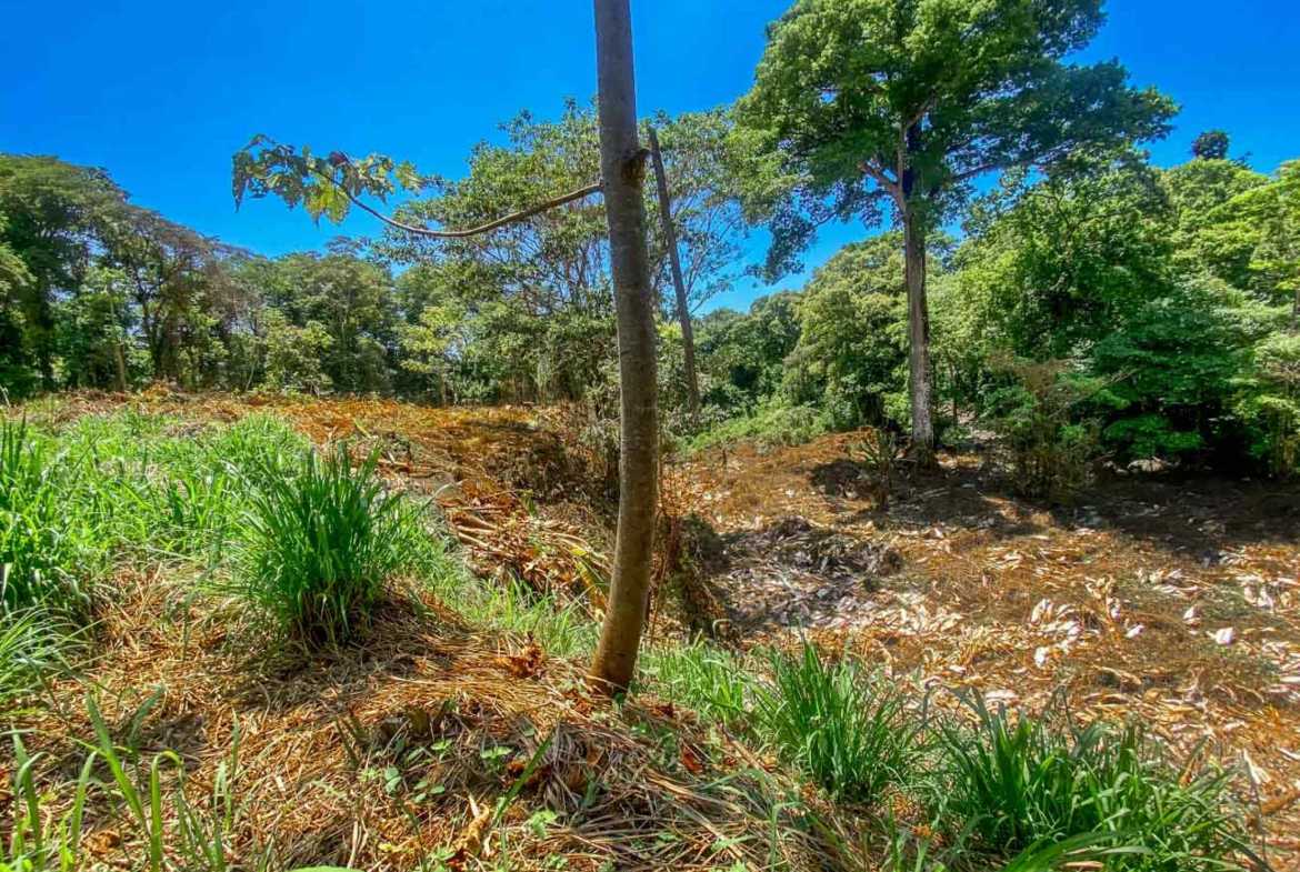 Jungle River 2.46-Acre Building Lot with Legal Water in Ojochal Costa Rica photo 24