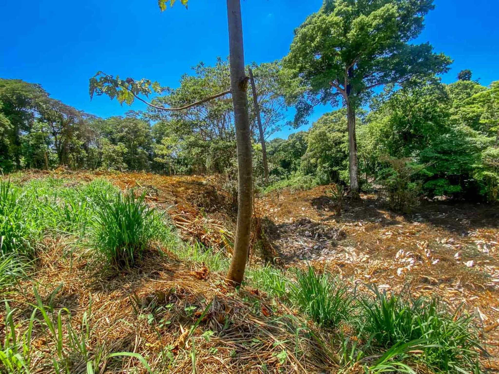 Jungle River 2.46-Acre Building Lot with Legal Water in Ojochal Costa Rica