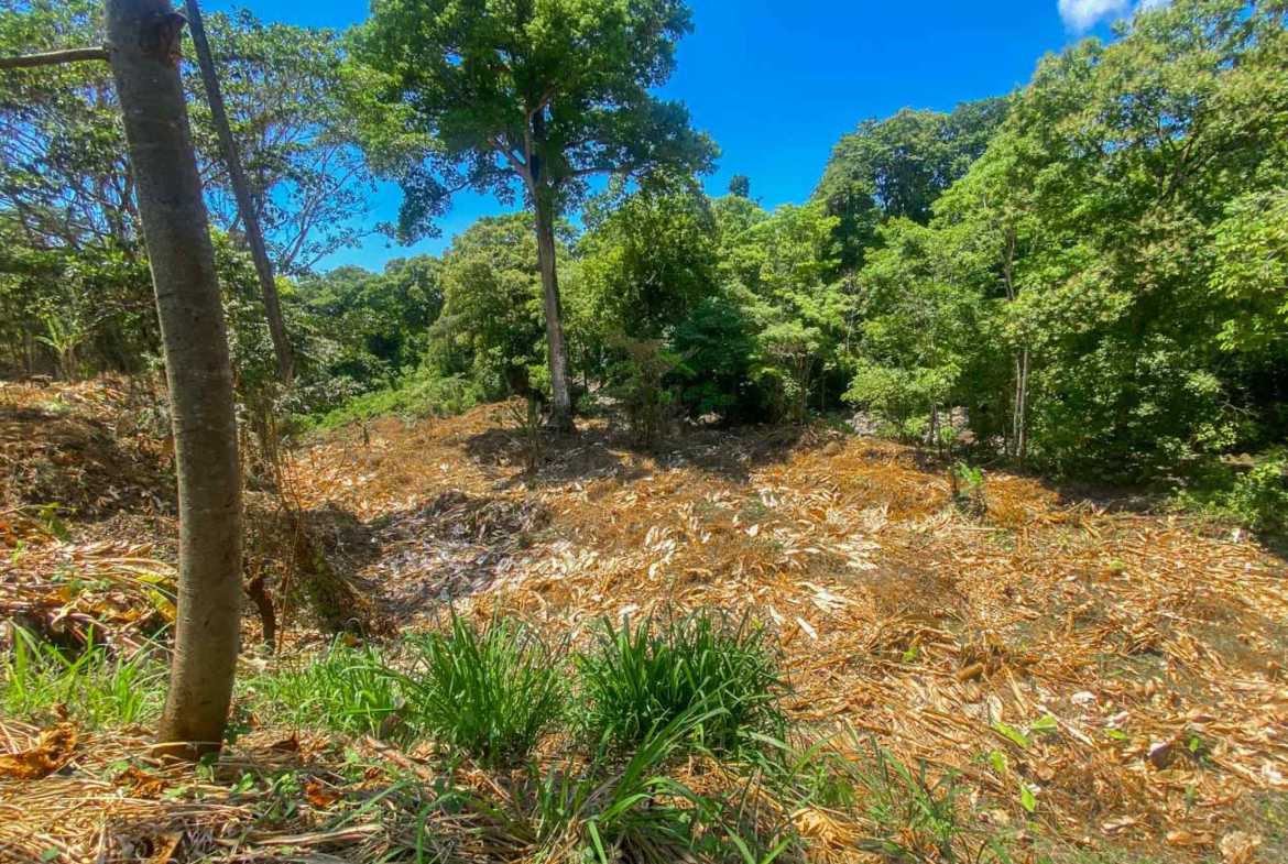 Jungle River 2.46-Acre Building Lot with Legal Water in Ojochal Costa Rica photo 23