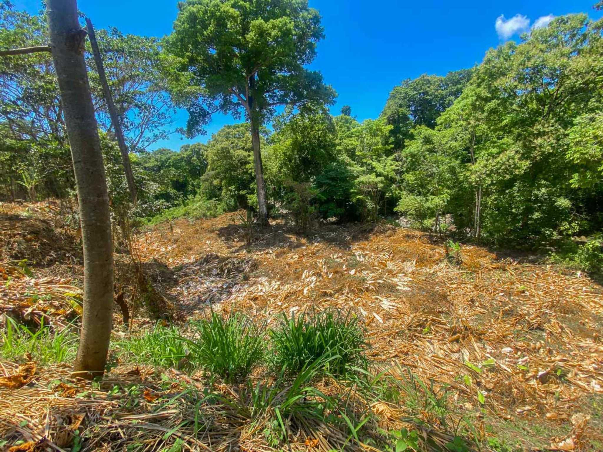 Jungle River 2.46-Acre Building Lot with Legal Water in Ojochal Costa Rica