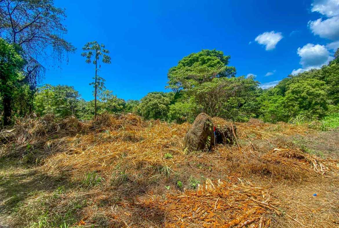 Jungle River 2.46-Acre Building Lot with Legal Water in Ojochal Costa Rica photo 21