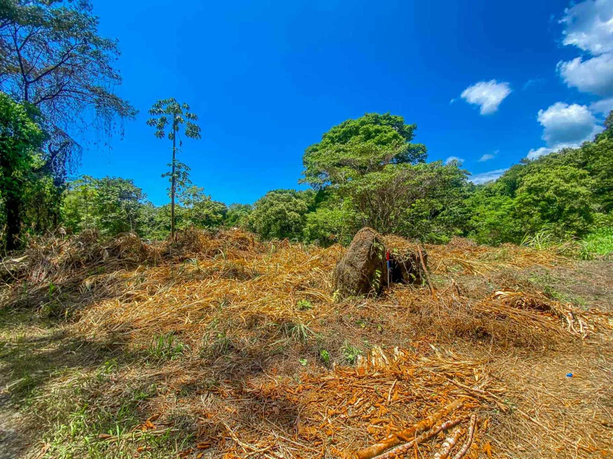 Jungle River 2.46-Acre Building Lot with Legal Water in Ojochal Costa Rica