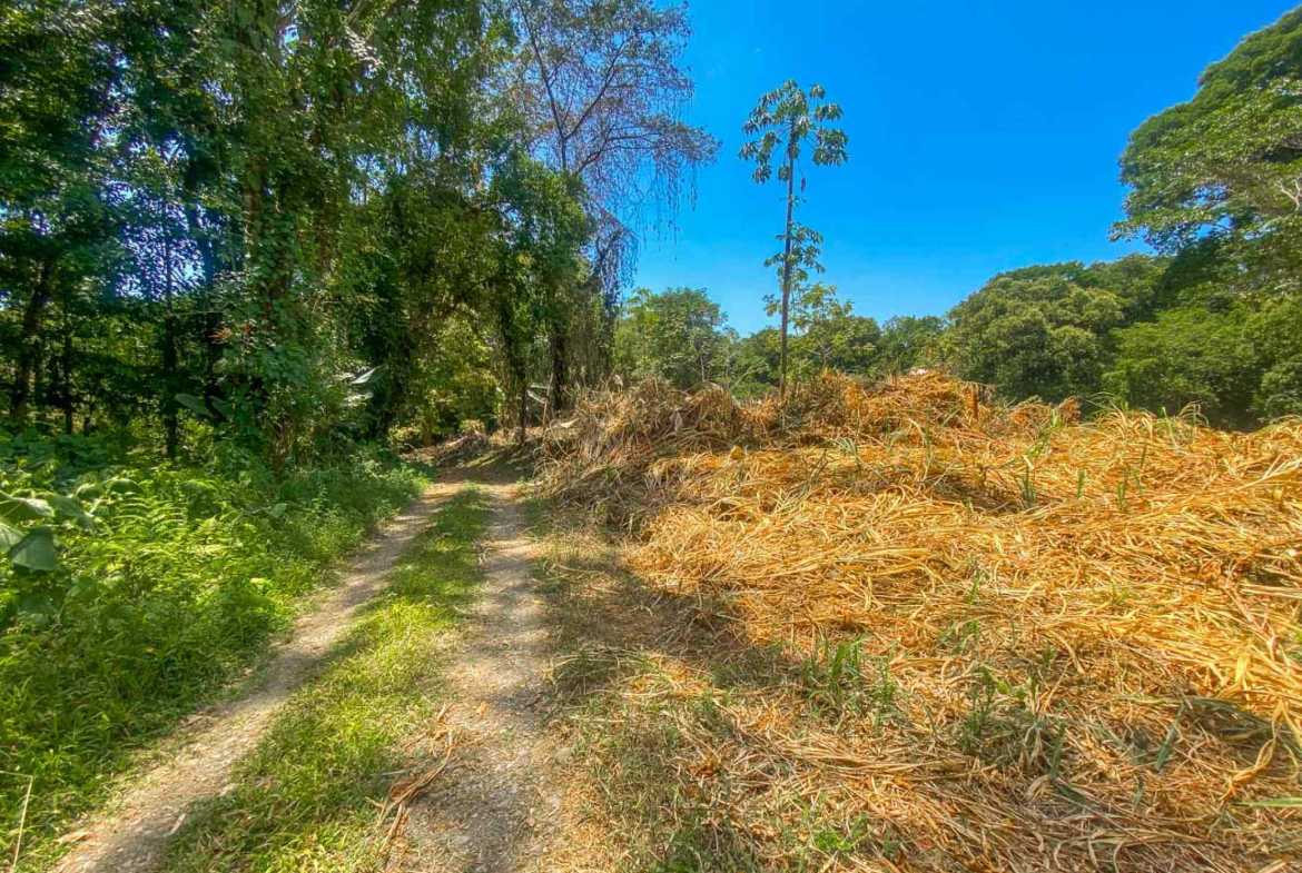 Jungle River 2.46-Acre Building Lot with Legal Water in Ojochal Costa Rica photo 22