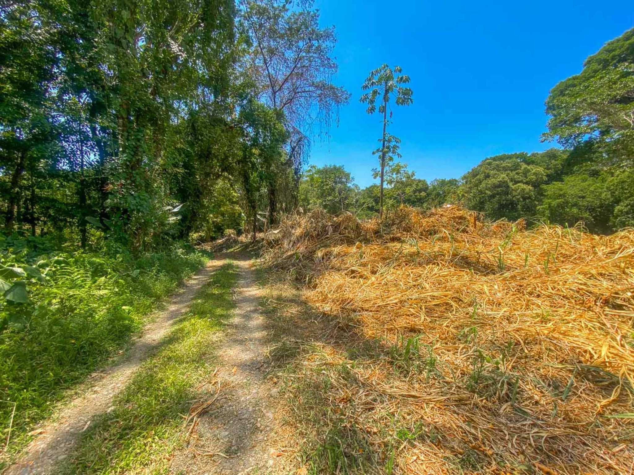 Jungle River 2.46-Acre Building Lot with Legal Water in Ojochal Costa Rica