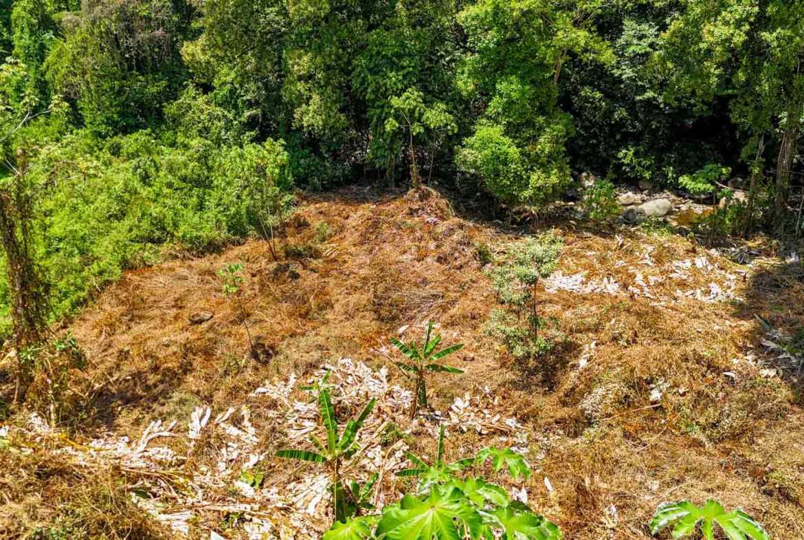 Jungle River 2.46-Acre Building Lot with Legal Water in Ojochal Costa Rica photo 20