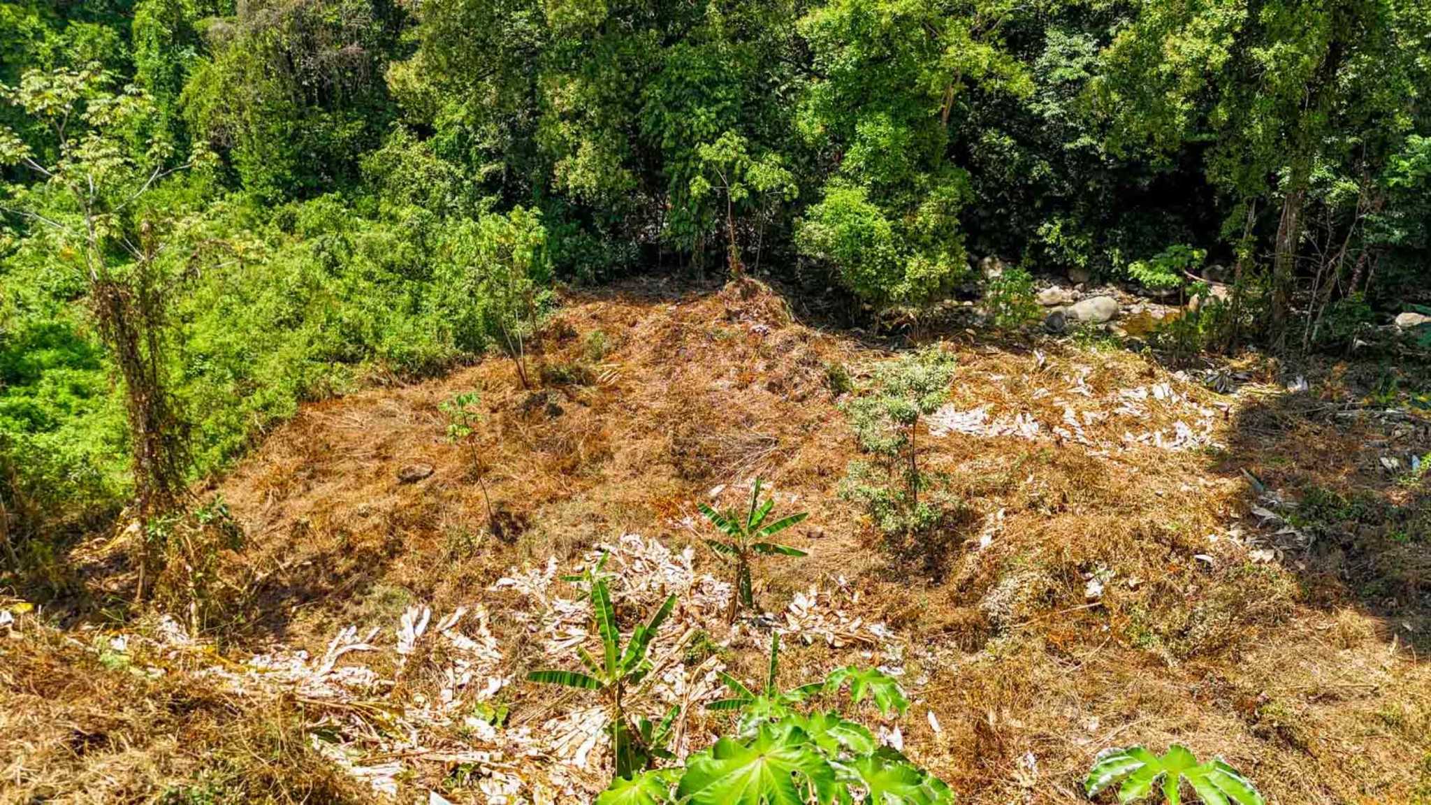 Jungle River 2.46-Acre Building Lot with Legal Water in Ojochal Costa Rica
