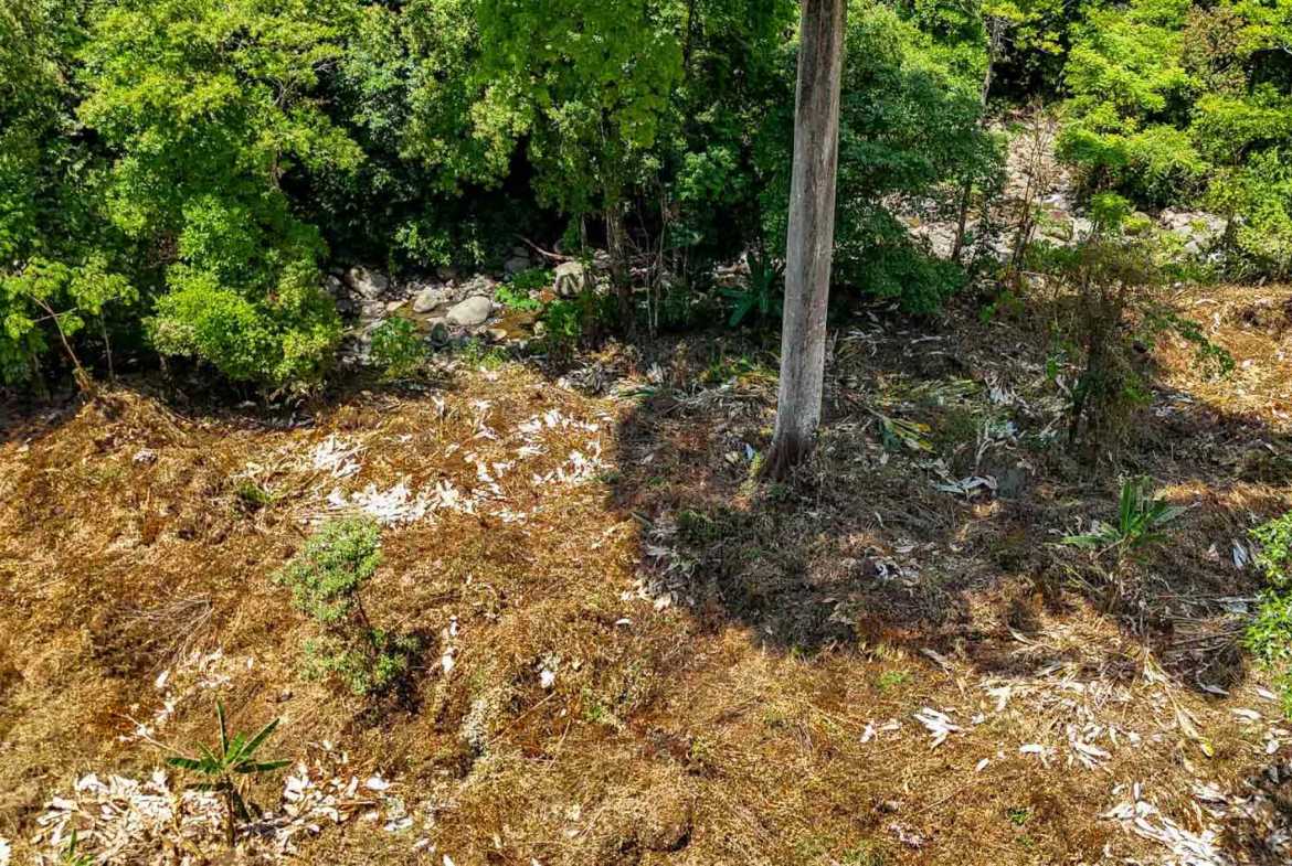 Jungle River 2.46-Acre Building Lot with Legal Water in Ojochal Costa Rica photo 19