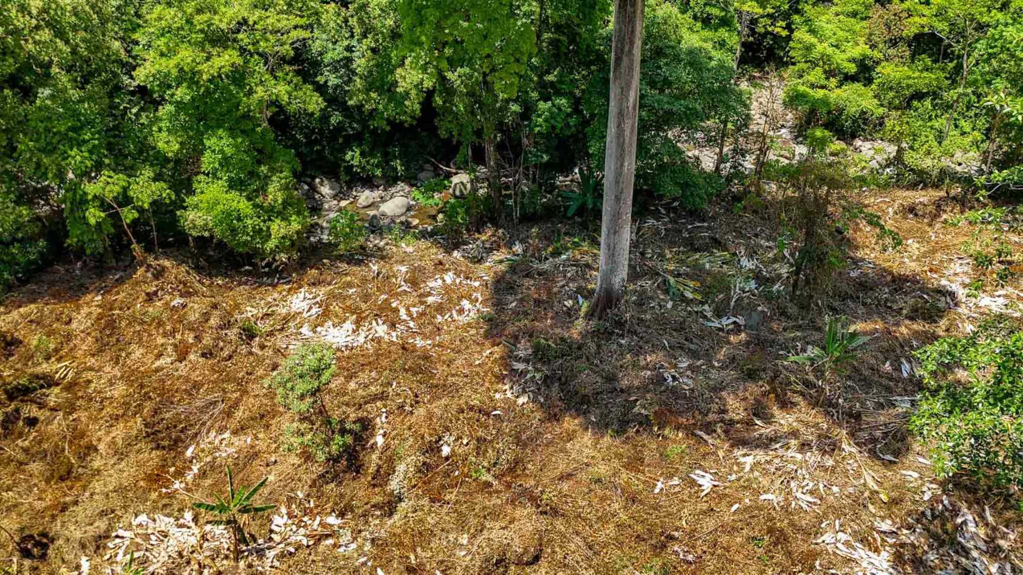 Jungle River 2.46-Acre Building Lot with Legal Water in Ojochal Costa Rica
