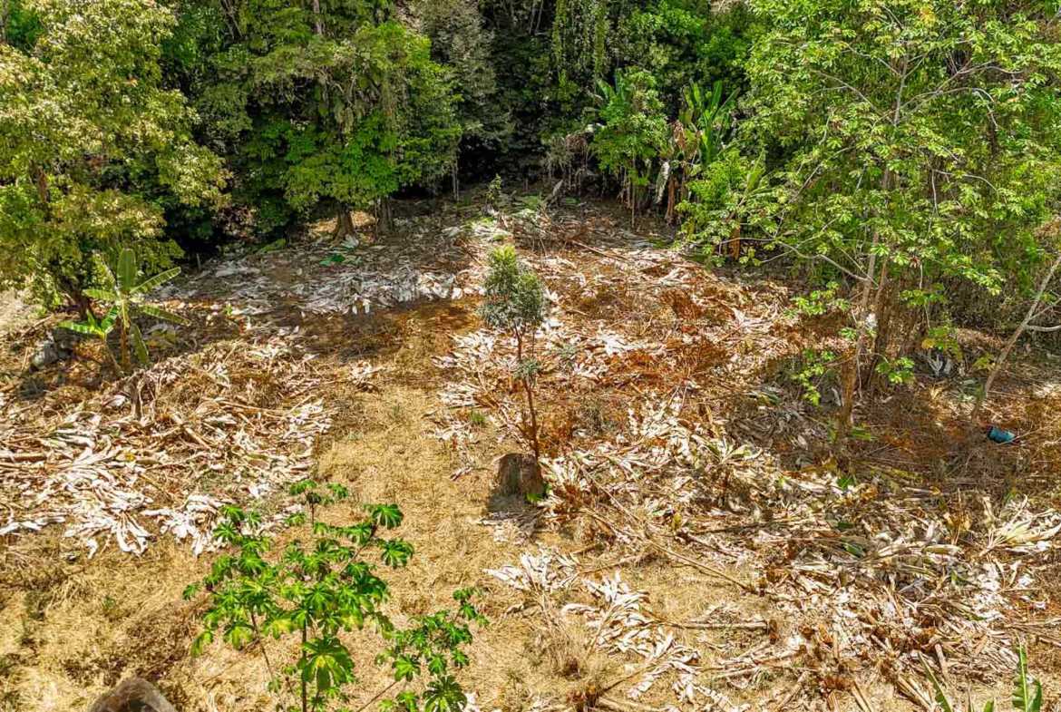 Jungle River 2.46-Acre Building Lot with Legal Water in Ojochal Costa Rica photo 18
