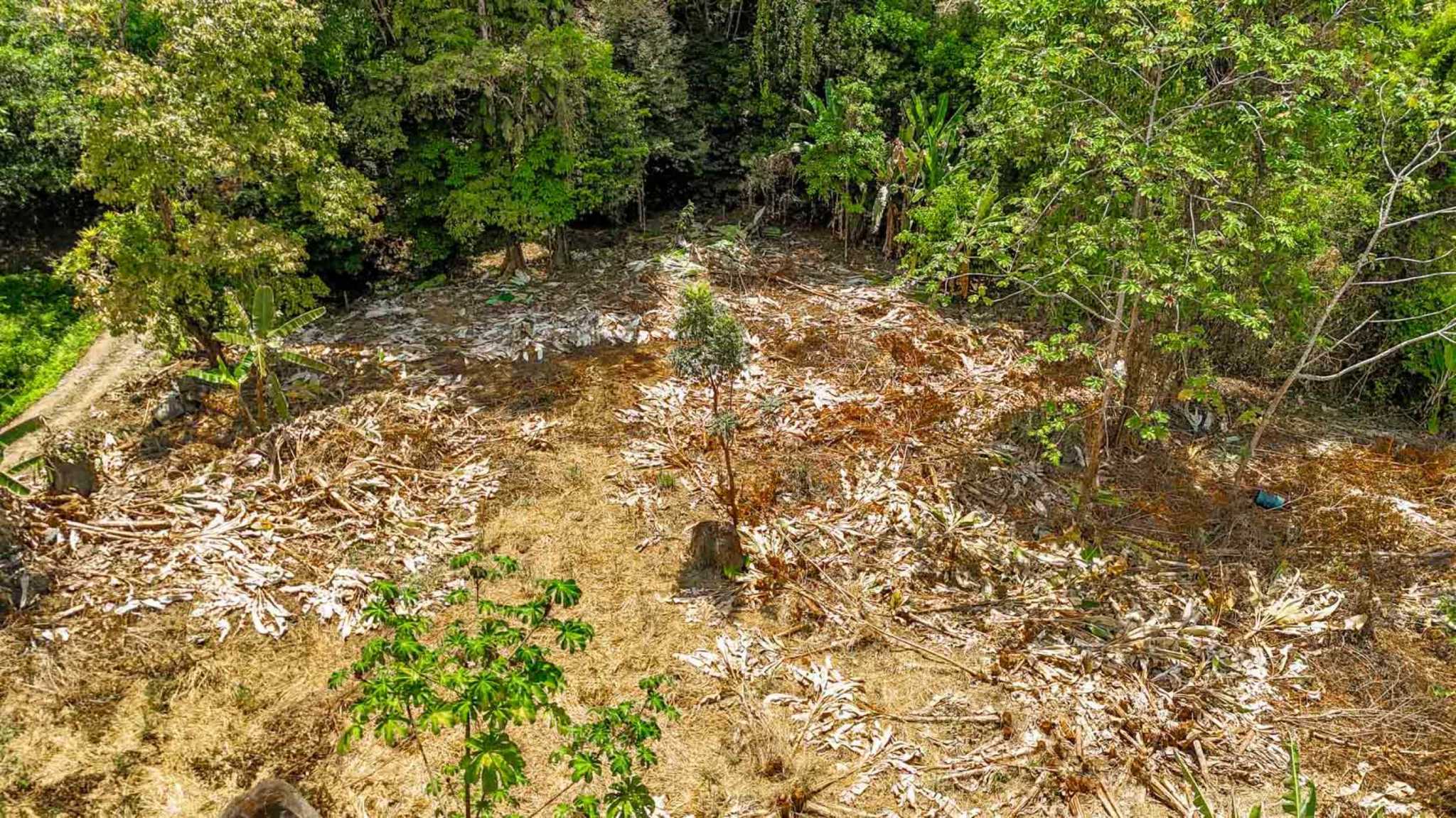 Jungle River 2.46-Acre Building Lot with Legal Water in Ojochal Costa Rica