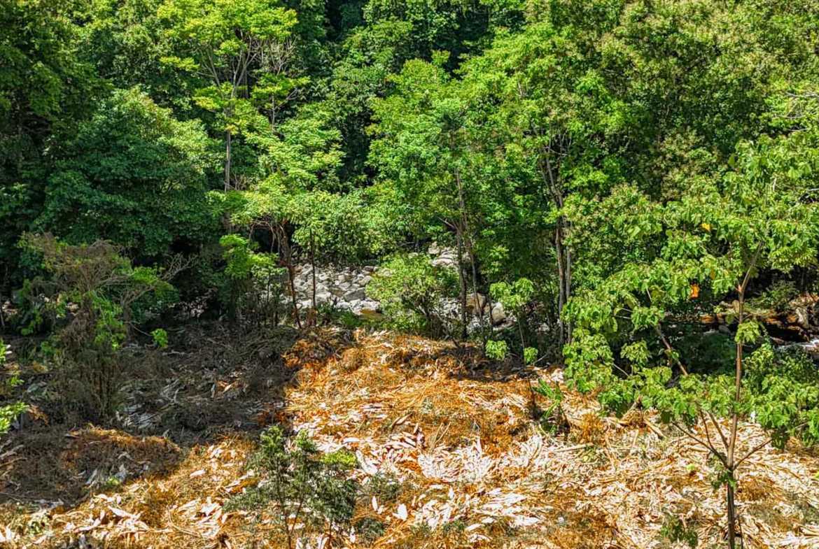 Jungle River 2.46-Acre Building Lot with Legal Water in Ojochal Costa Rica photo 17