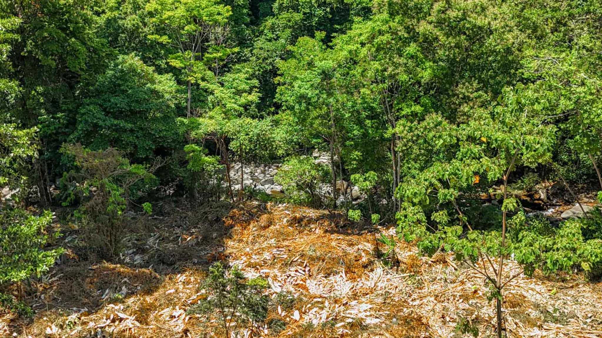 Jungle River 2.46-Acre Building Lot with Legal Water in Ojochal Costa Rica