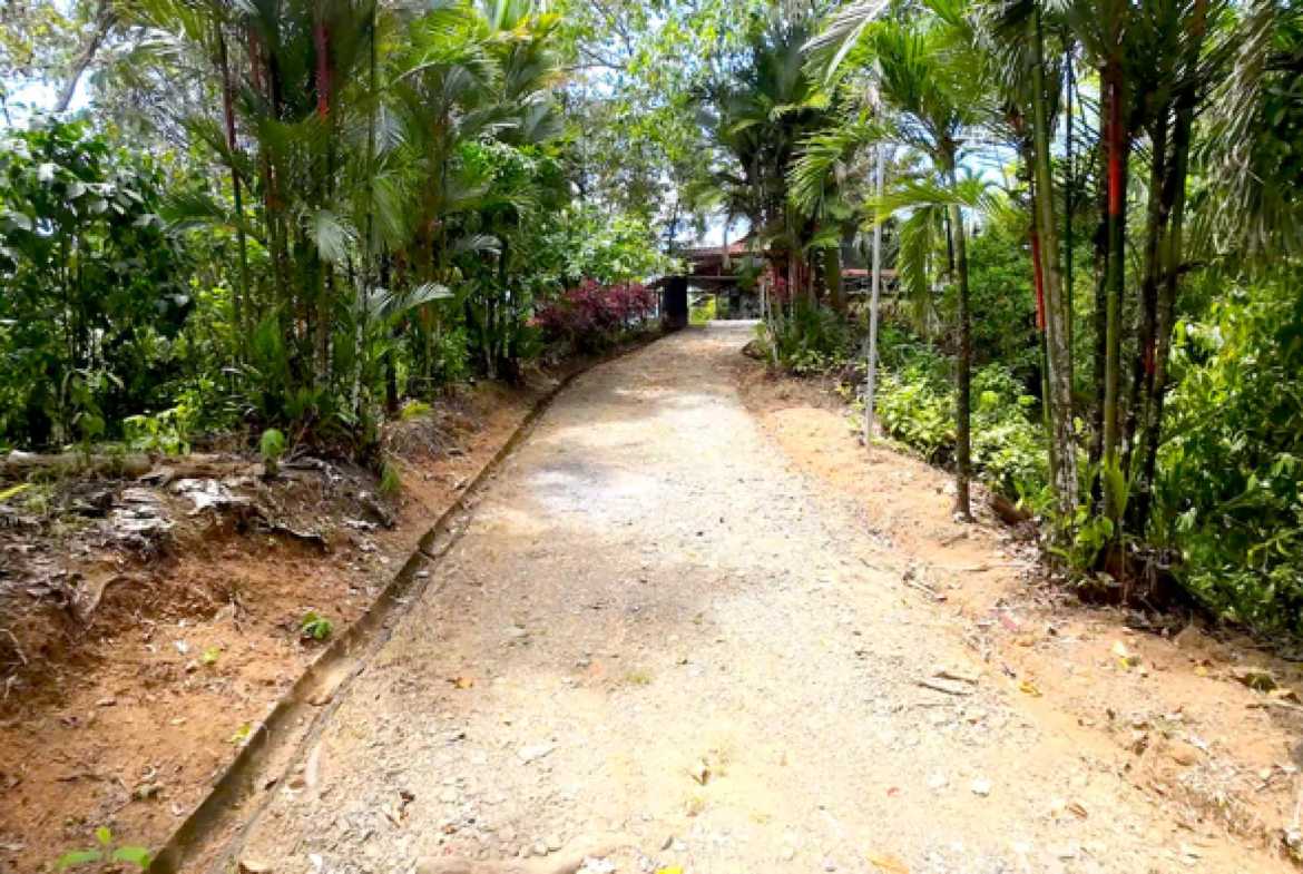 Exceptional 22-Bedroom Multi-Home Estate with Ocean Views & Pool in Uvita Costa Rica photo 48