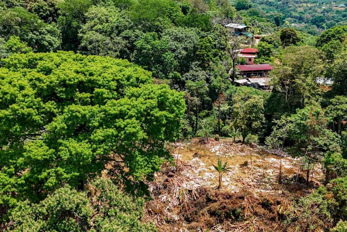 Jungle River 2.46-Acre Building Lot with Legal Water in Ojochal Costa Rica photo 16