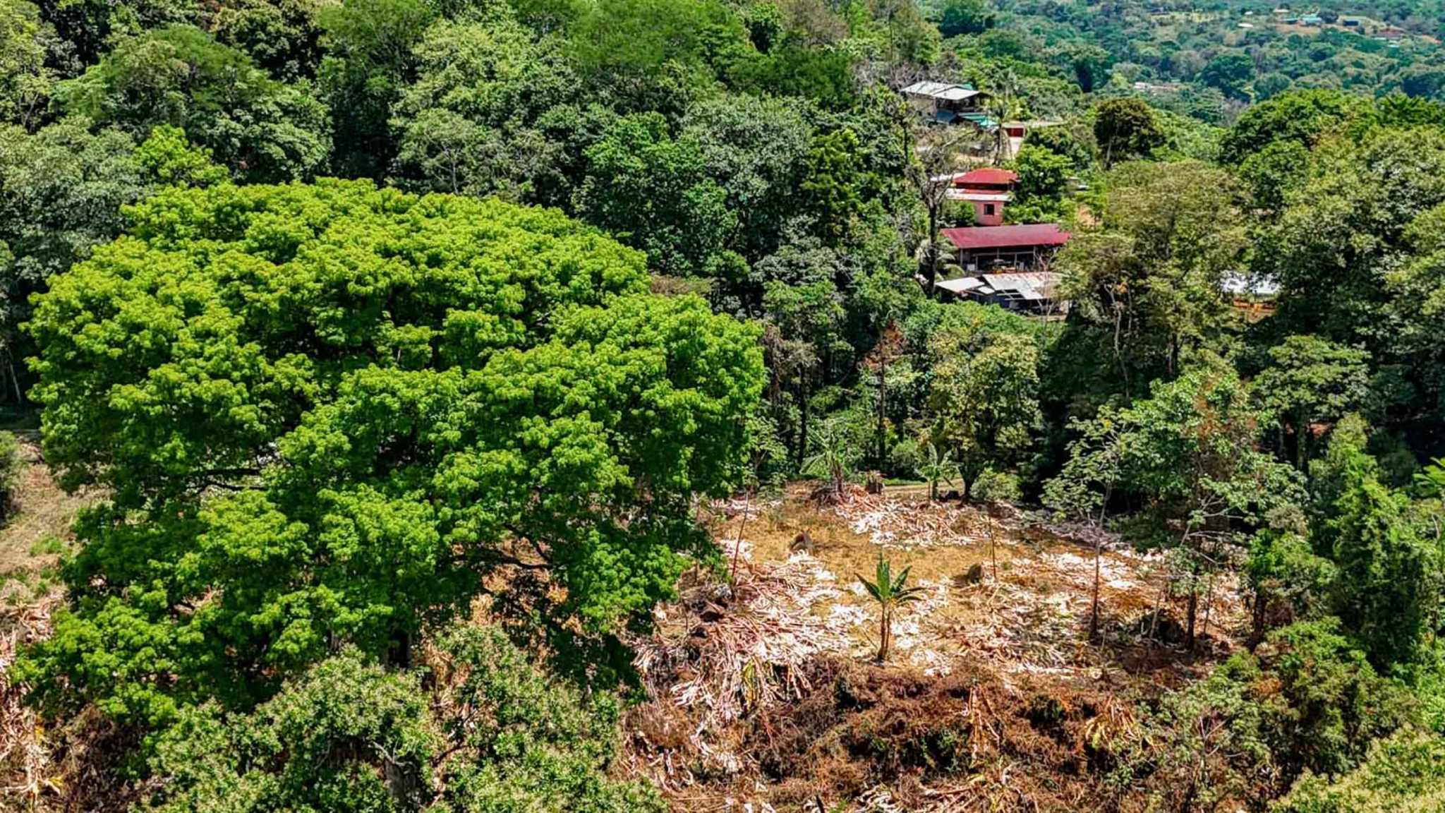 Jungle River 2.46-Acre Building Lot with Legal Water in Ojochal Costa Rica
