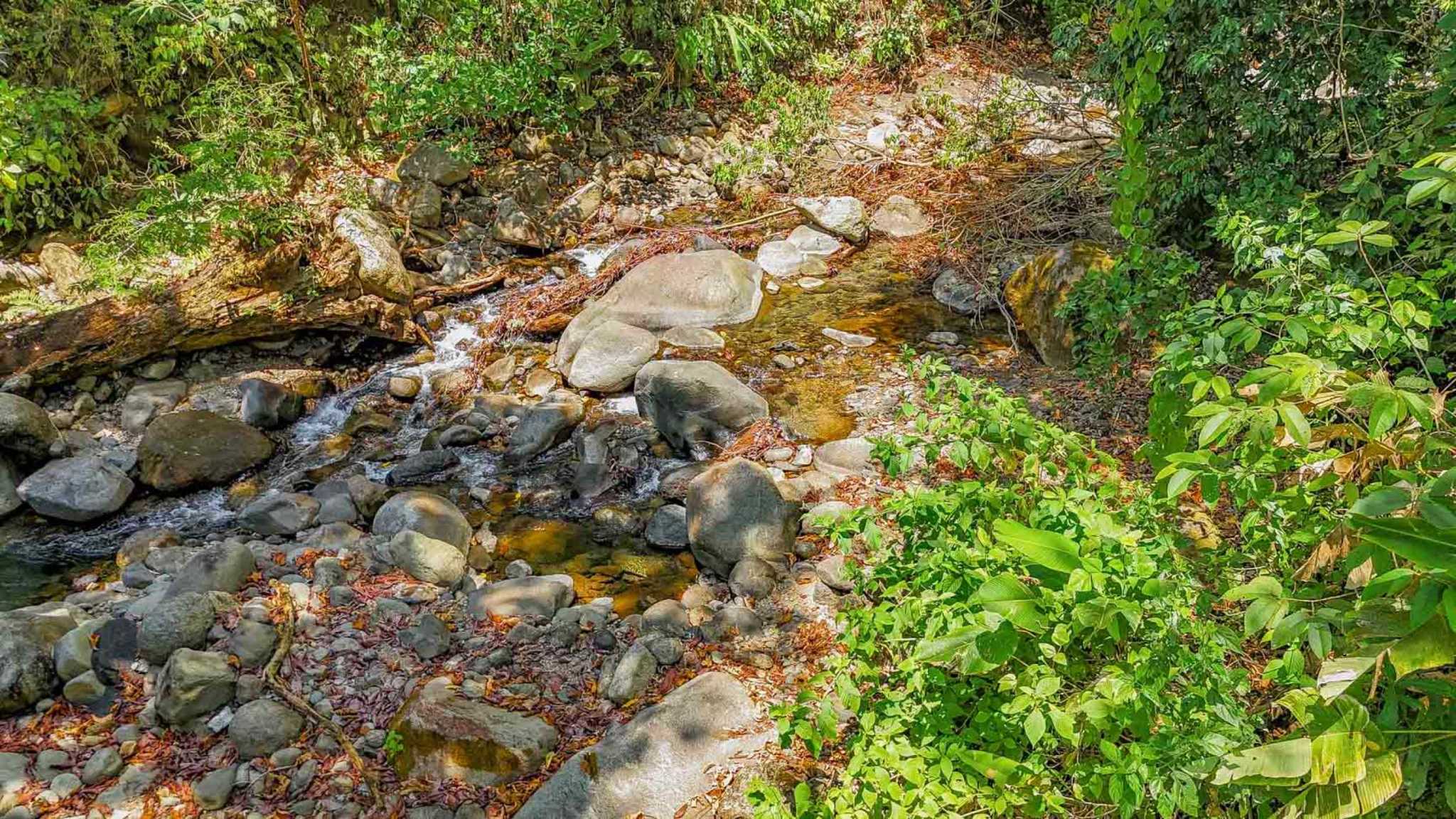 Jungle River 2.46-Acre Building Lot with Legal Water in Ojochal Costa Rica