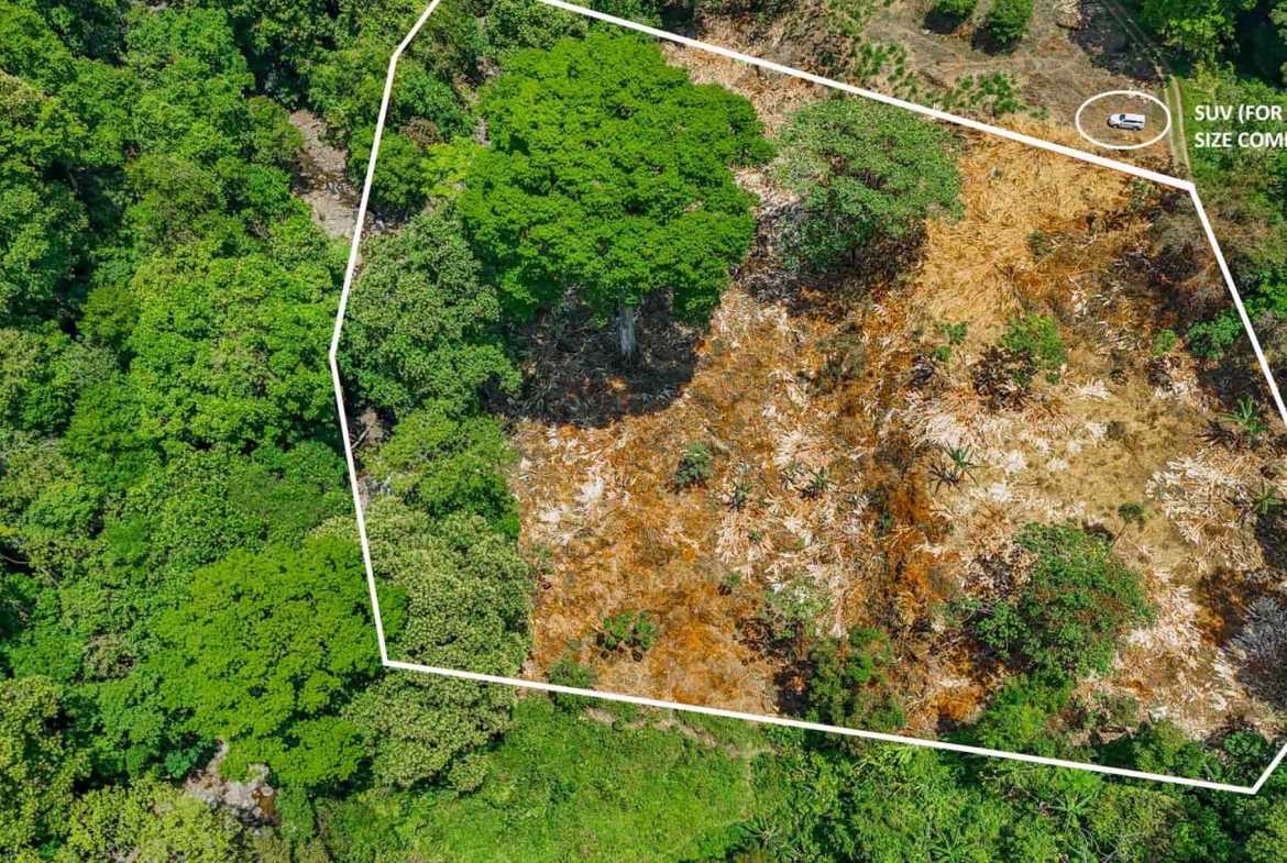 Jungle River 2.46-Acre Building Lot with Legal Water in Ojochal Costa Rica photo 14