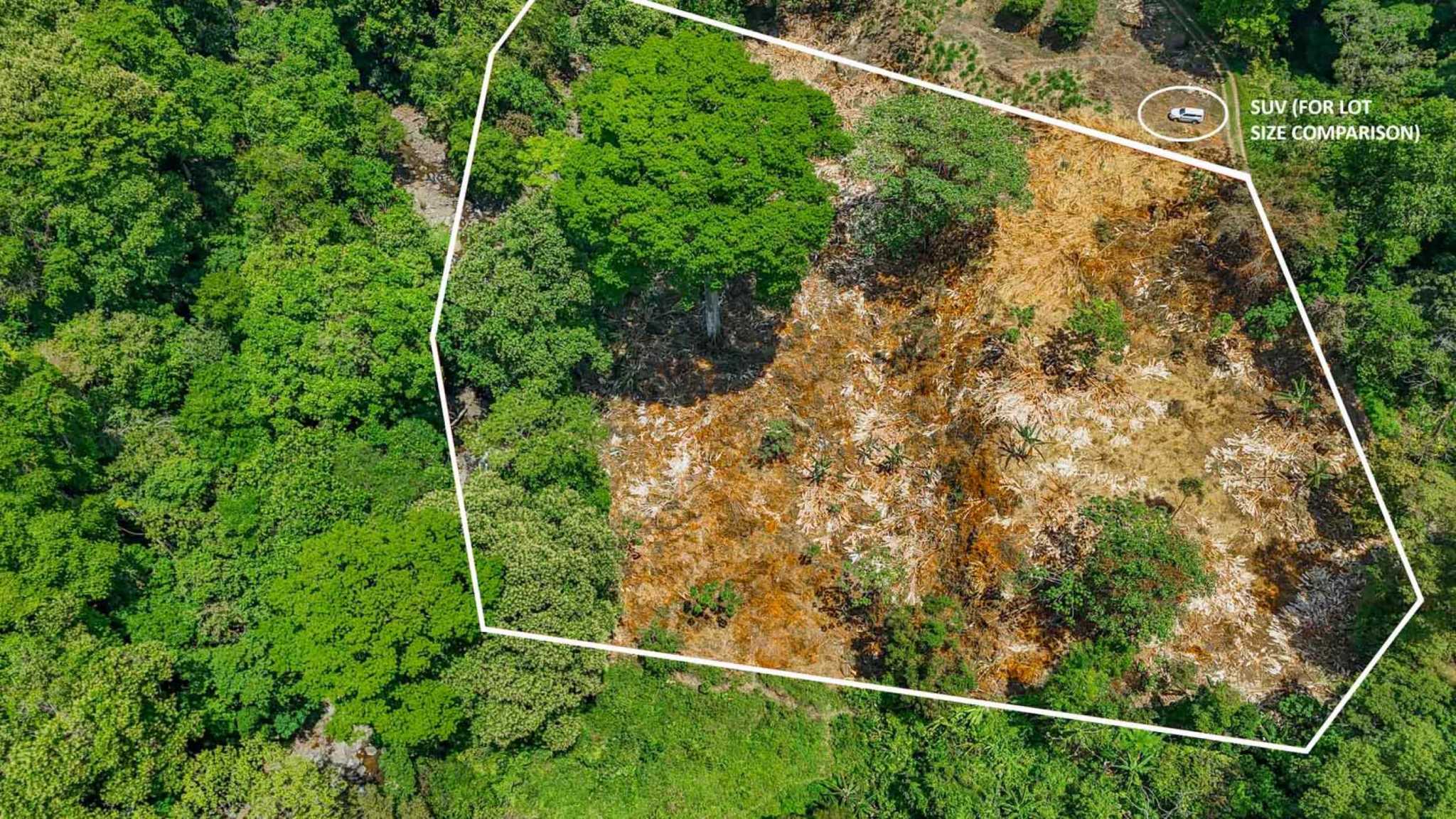 Jungle River 2.46-Acre Building Lot with Legal Water in Ojochal Costa Rica