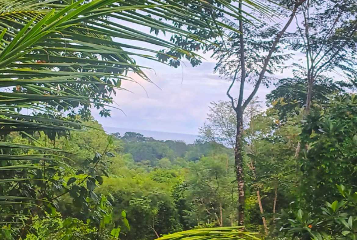 Exceptional 22-Bedroom Multi-Home Estate with Ocean Views & Pool in Uvita Costa Rica photo 42