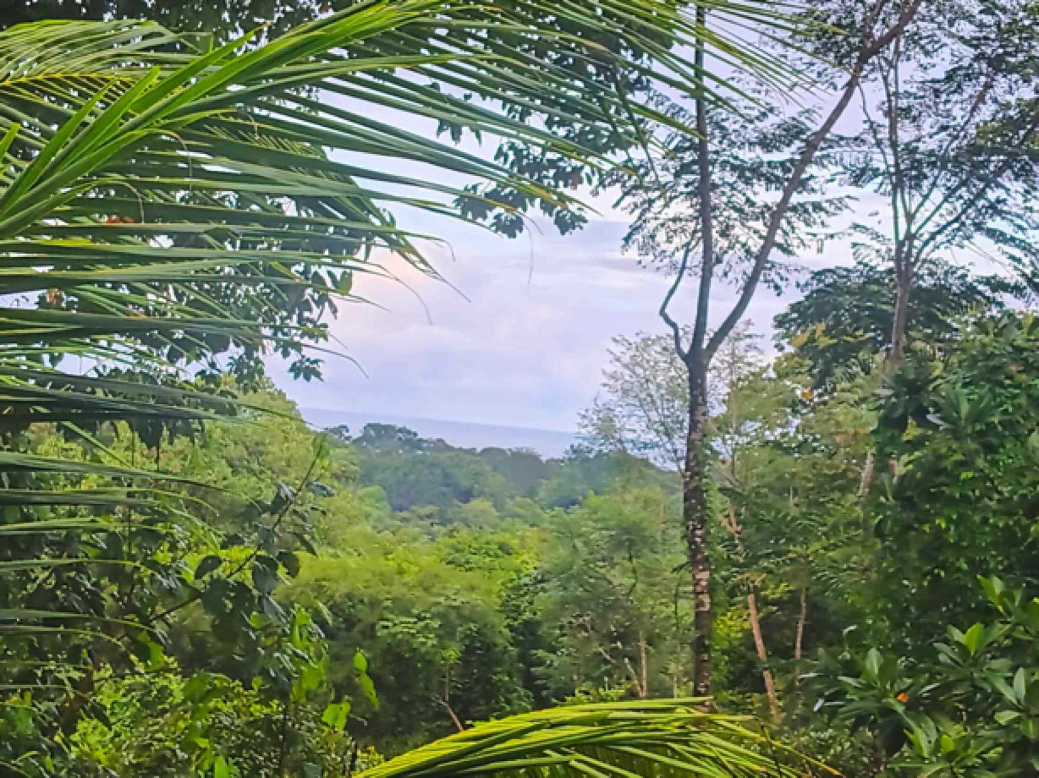60639-42 Exceptional 22-Bedroom Multi-Home Estate with Ocean Views & Pool in Uvita Costa Rica