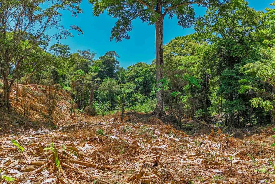 Jungle River 2.46-Acre Building Lot with Legal Water in Ojochal Costa Rica photo 12