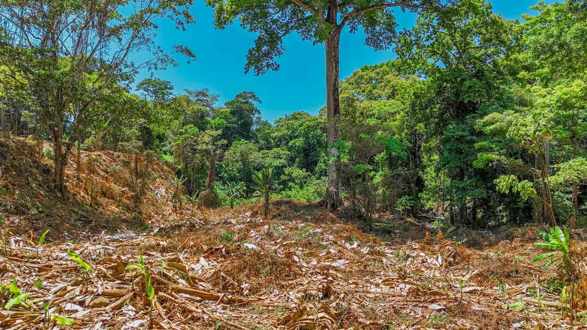 Jungle River 2.46-Acre Building Lot with Legal Water in Ojochal Costa Rica