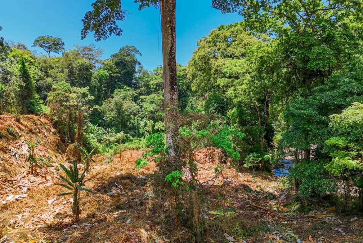 Jungle River 2.46-Acre Building Lot with Legal Water in Ojochal Costa Rica photo 11