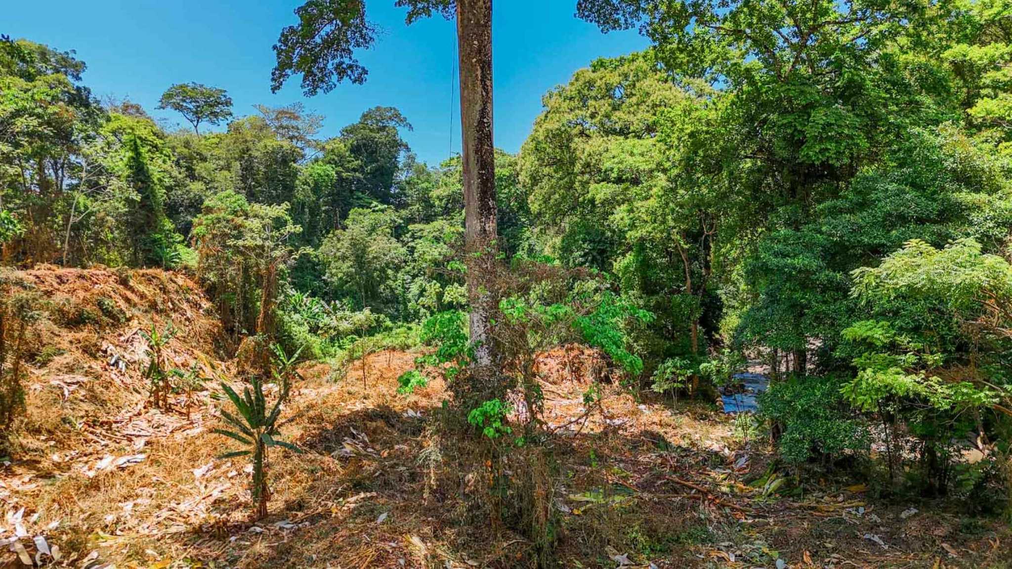 Jungle River 2.46-Acre Building Lot with Legal Water in Ojochal Costa Rica