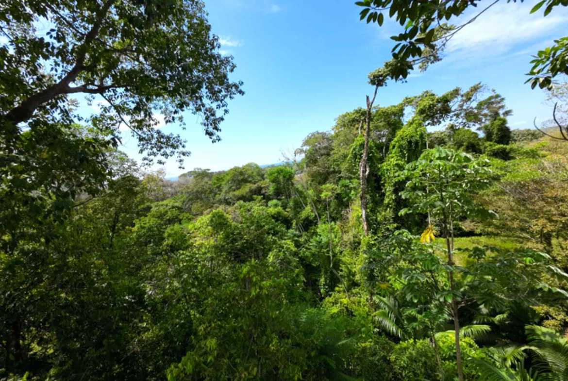 Exceptional 22-Bedroom Multi-Home Estate with Ocean Views & Pool in Uvita Costa Rica photo 41