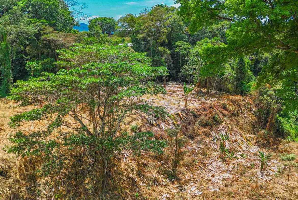 Jungle River 2.46-Acre Building Lot with Legal Water in Ojochal Costa Rica photo 10