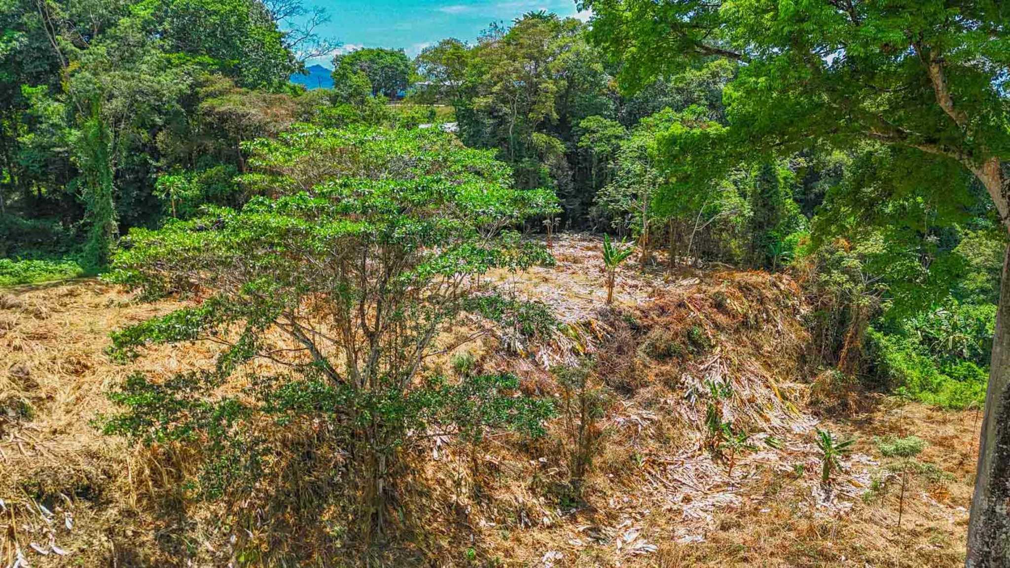 Jungle River 2.46-Acre Building Lot with Legal Water in Ojochal Costa Rica