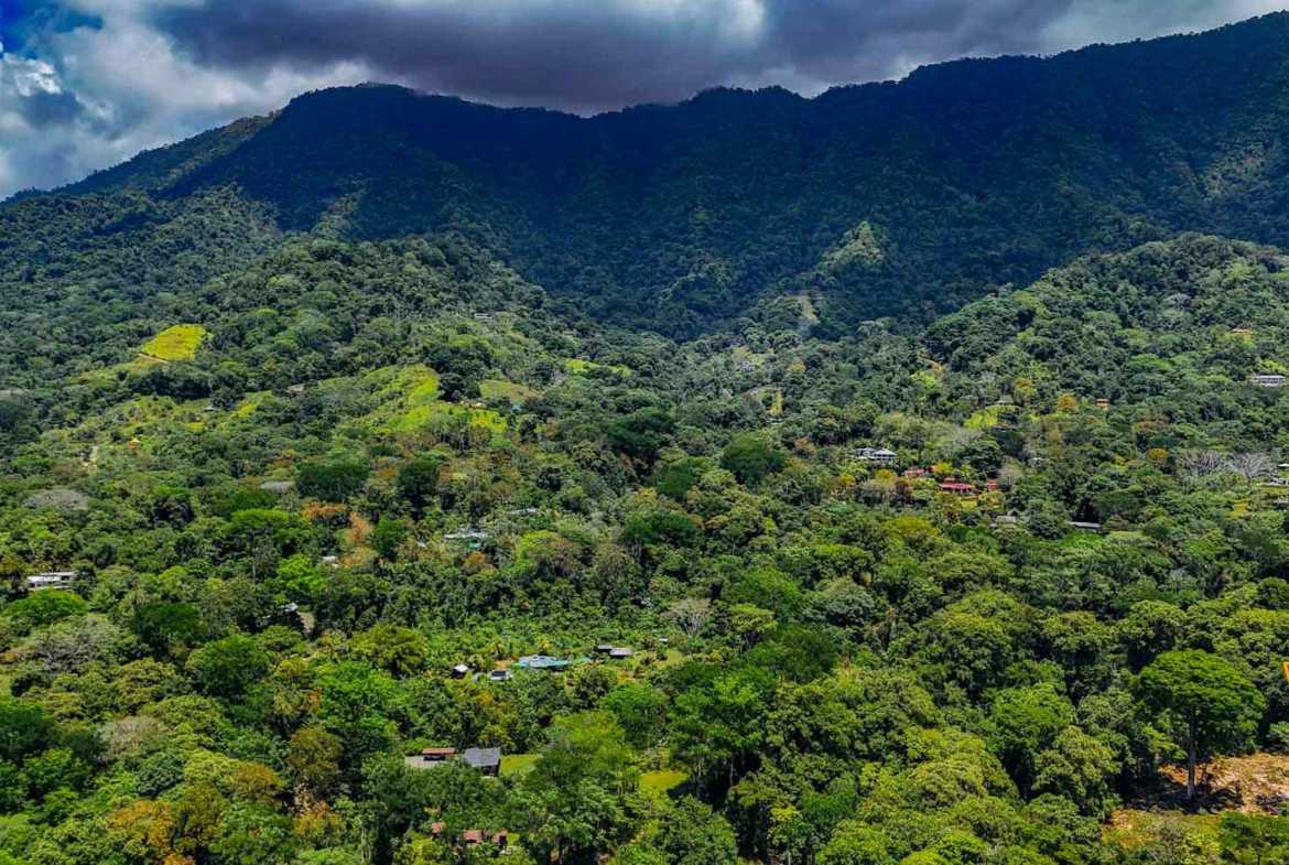 Jungle River 2.46-Acre Building Lot with Legal Water in Ojochal Costa Rica photo 8