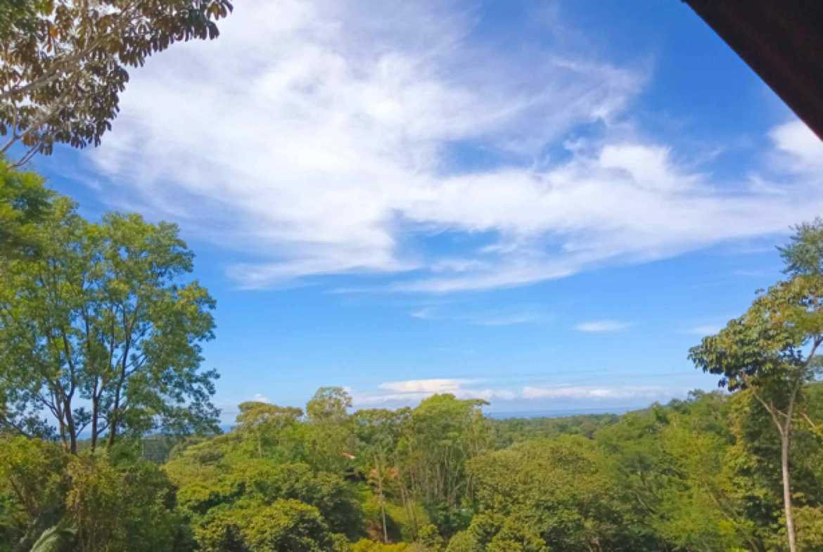 Exceptional 22-Bedroom Multi-Home Estate with Ocean Views & Pool in Uvita Costa Rica photo 37