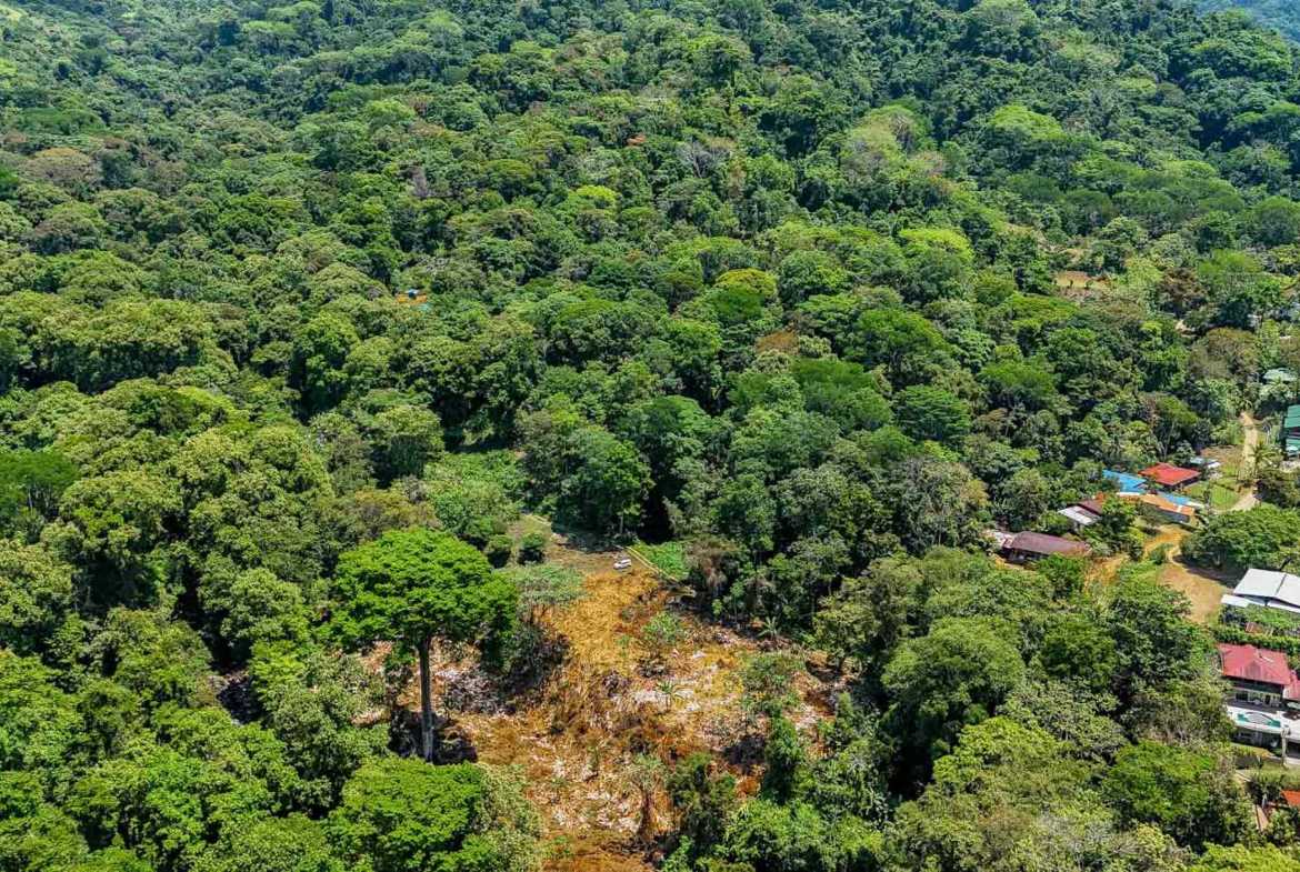 Jungle River 2.46-Acre Building Lot with Legal Water in Ojochal Costa Rica photo 7