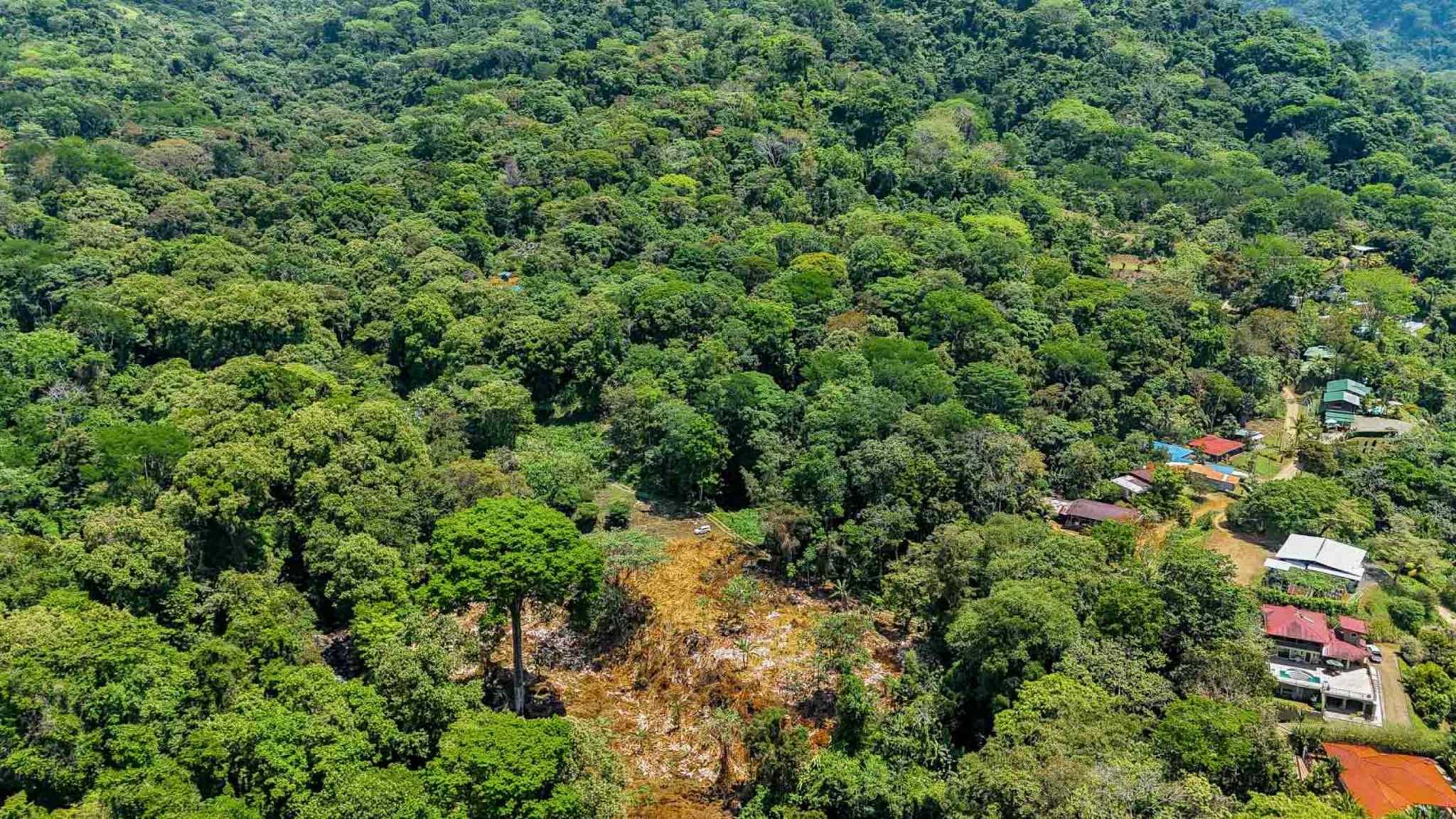 Jungle River 2.46-Acre Building Lot with Legal Water in Ojochal Costa Rica