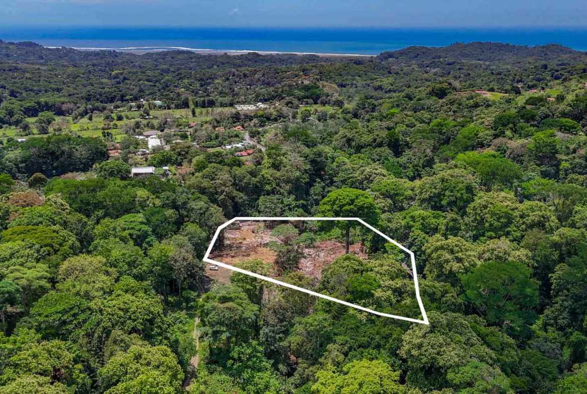 Jungle River 2.46-Acre Building Lot with Legal Water in Ojochal Costa Rica photo 4