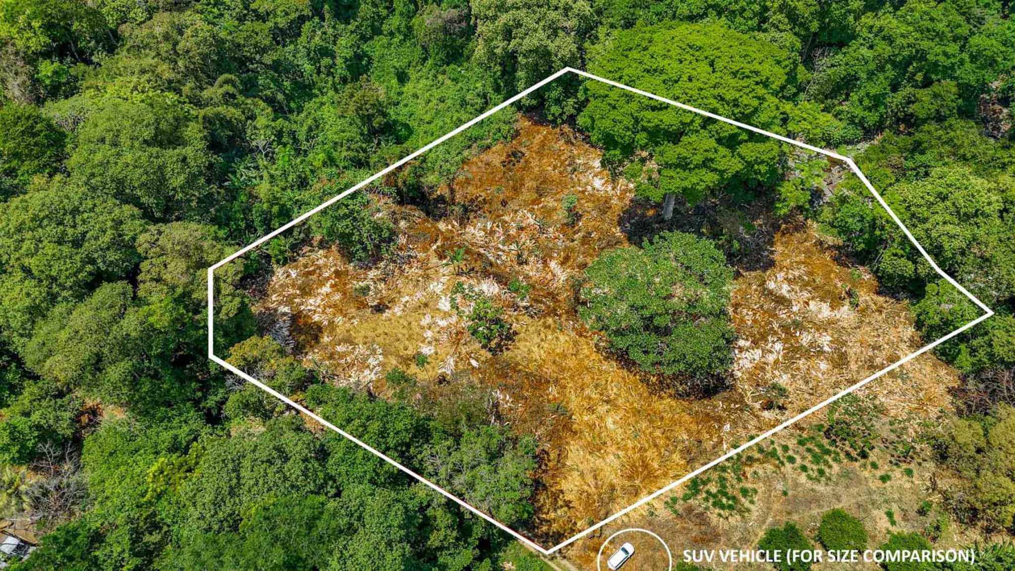 Jungle River 2.46-Acre Building Lot with Legal Water in Ojochal Costa Rica