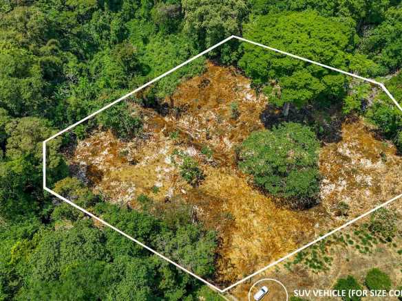 Jungle River 2.46-Acre Building Lot with Legal Water in Ojochal Costa Rica