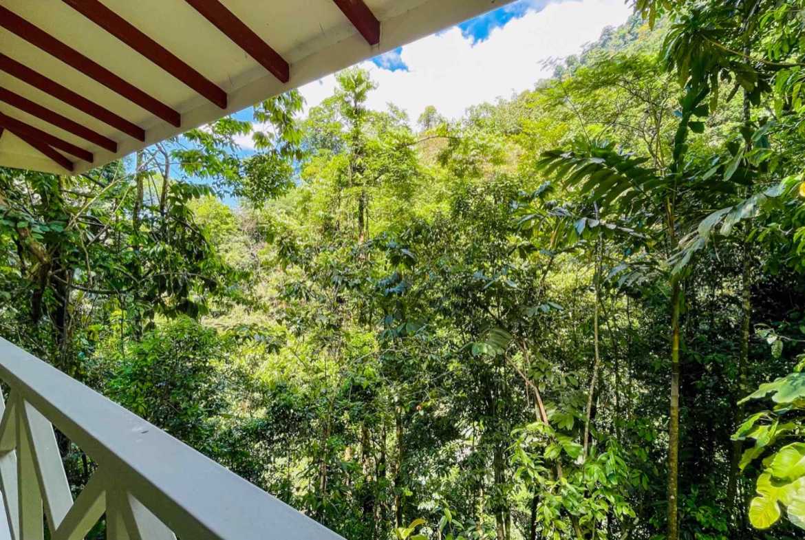 Luxury 4-Bedroom Estate with Waterfall, River Views & Solar Power in Ojochal Costa Rica photo 49