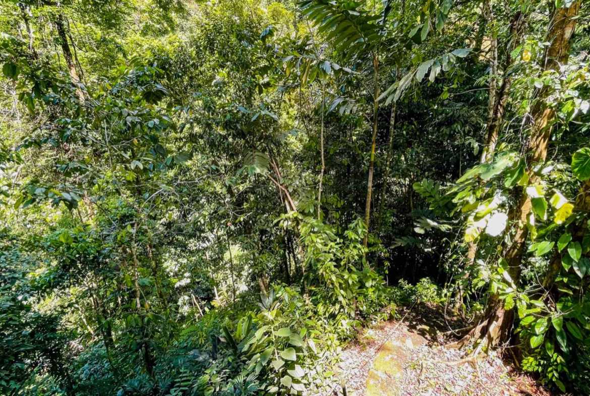 Luxury 4-Bedroom Estate with Waterfall, River Views & Solar Power in Ojochal Costa Rica photo 50