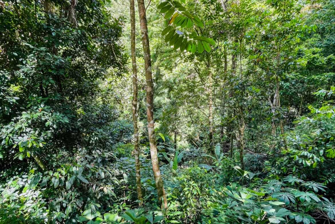 Luxury 4-Bedroom Estate with Waterfall, River Views & Solar Power in Ojochal Costa Rica photo 36