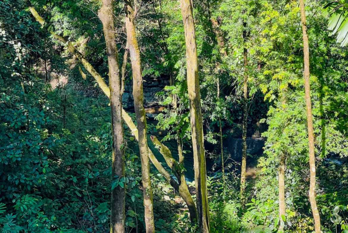 Luxury 4-Bedroom Estate with Waterfall, River Views & Solar Power in Ojochal Costa Rica photo 33