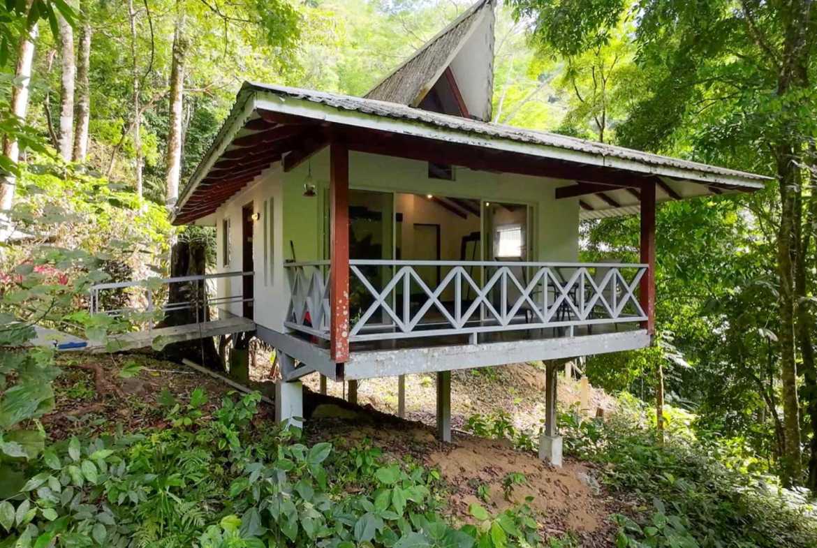 Luxury 4-Bedroom Estate with Waterfall, River Views & Solar Power in Ojochal Costa Rica photo 34