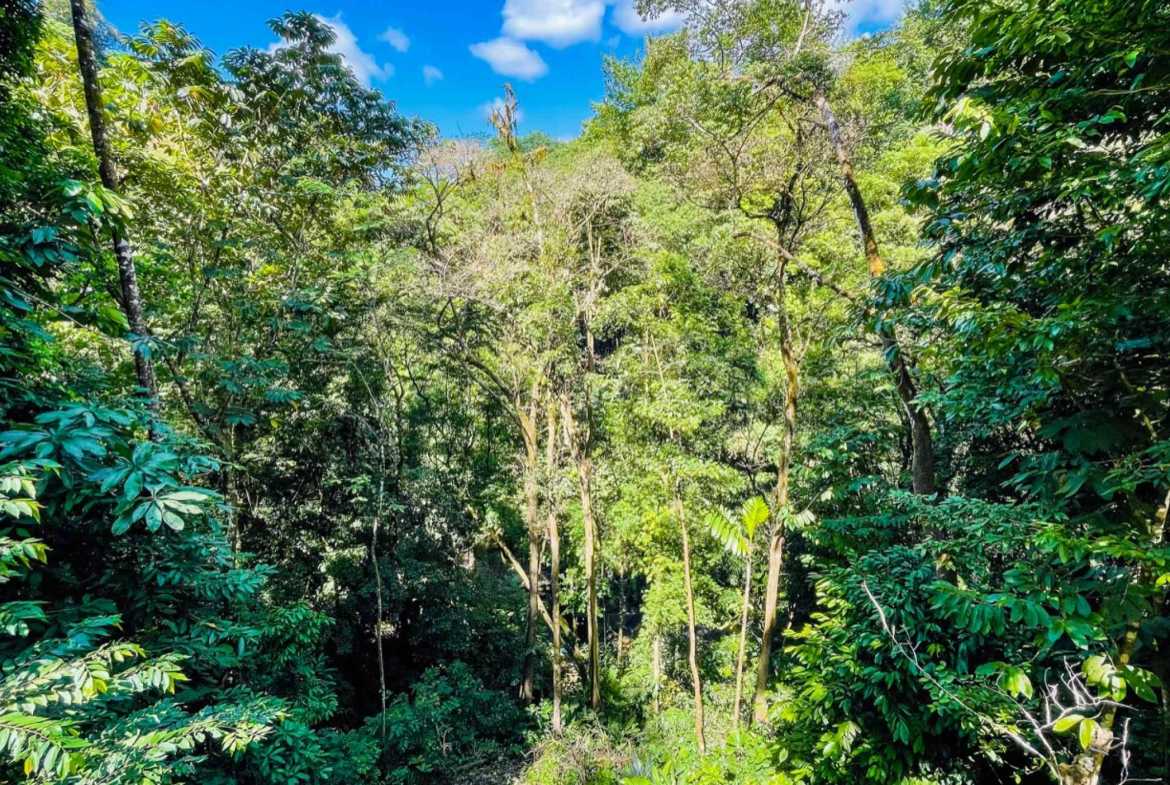 Luxury 4-Bedroom Estate with Waterfall, River Views & Solar Power in Ojochal Costa Rica photo 20