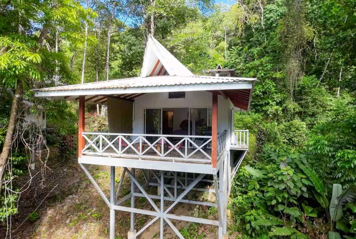 Luxury 4-Bedroom Estate with Waterfall, River Views & Solar Power in Ojochal Costa Rica photo 18